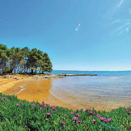 In With Kitchen * Vir