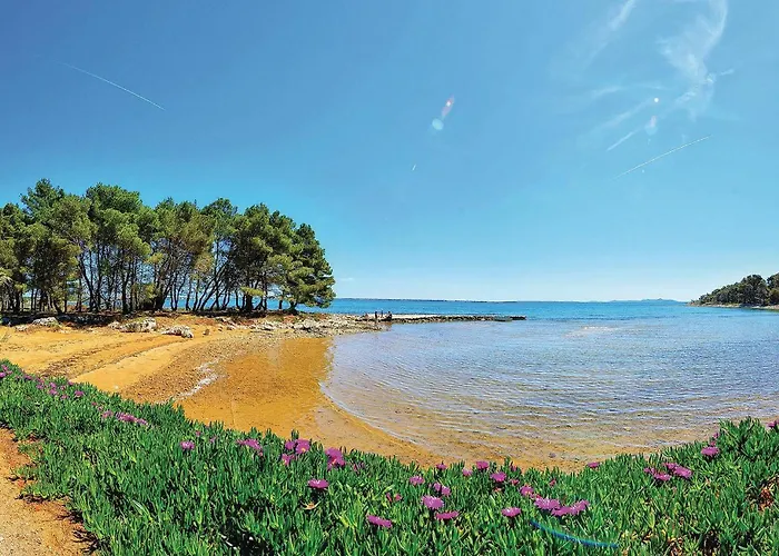 In With Kitchen * Vir